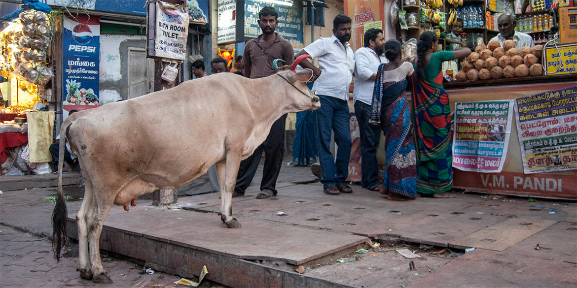 madurai_07