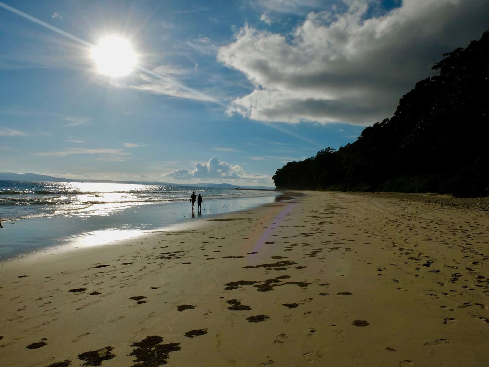 DSCF1338