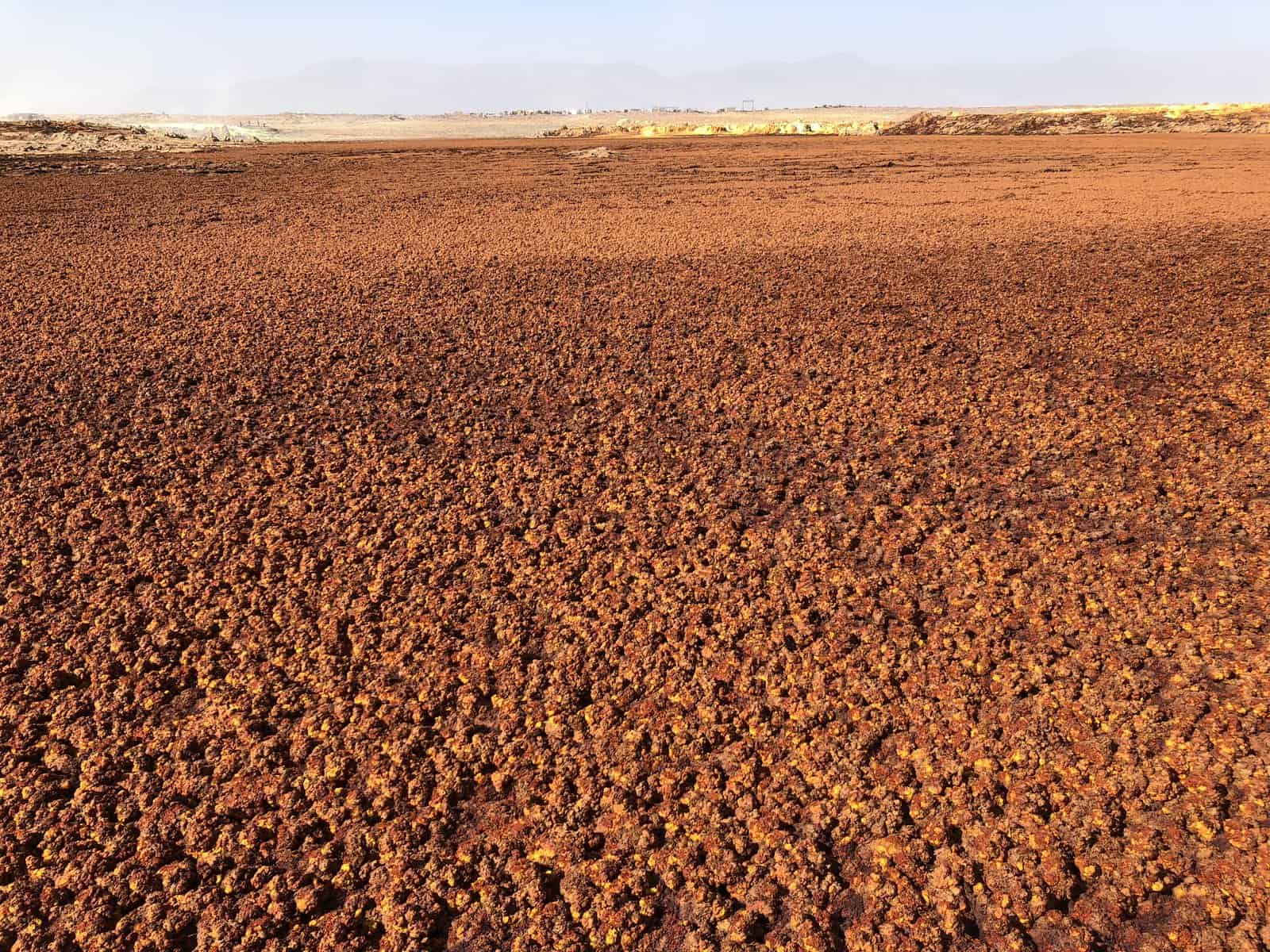 img_4141